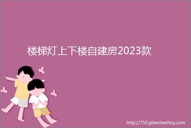 楼梯灯上下楼自建房2023款