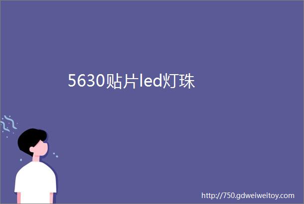 5630贴片led灯珠