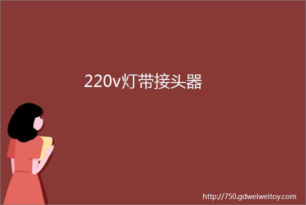 220v灯带接头器