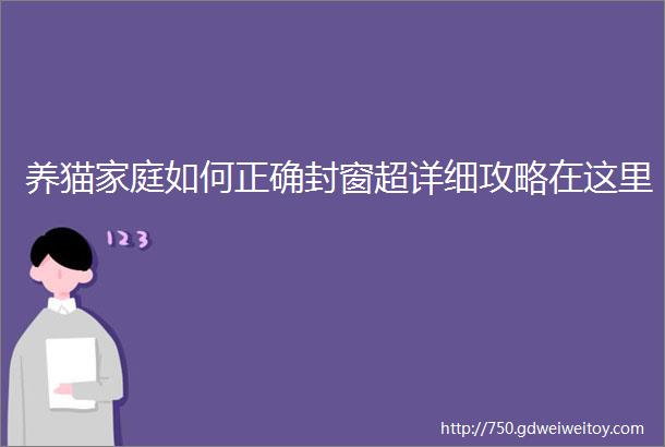 养猫家庭如何正确封窗超详细攻略在这里